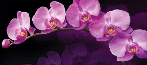 Фотообои Зеркальная орхидея 002 А 6л. 294*134