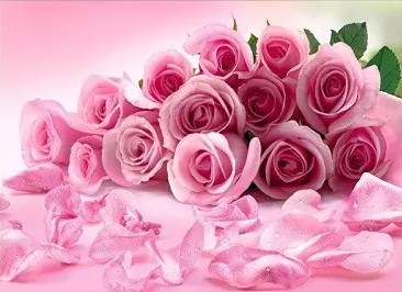Фотообои Розовые розы 075 А 8л. 268*196